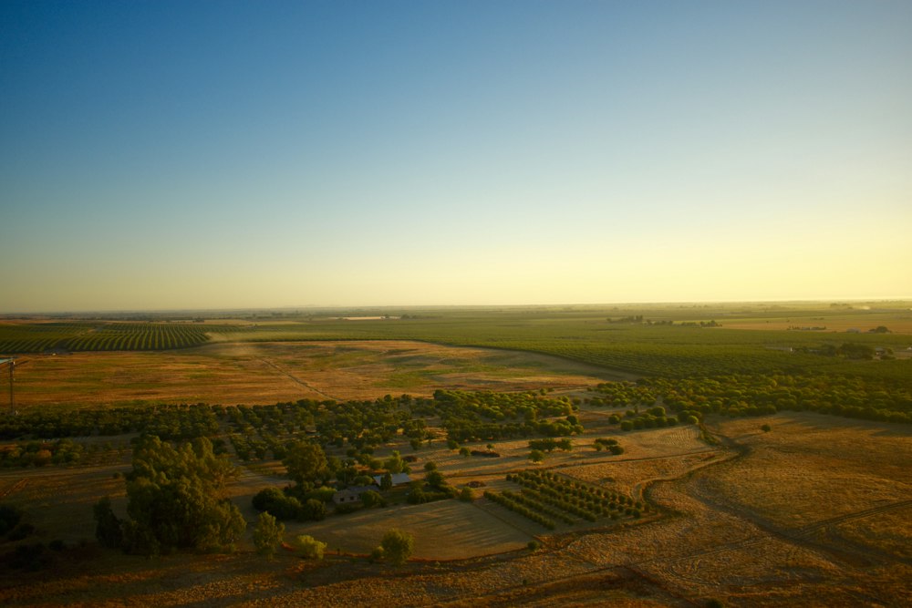 Terreno plano y despejado al atardecer